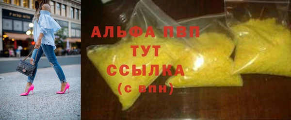 шишки Беломорск