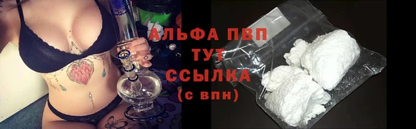 шишки Беломорск