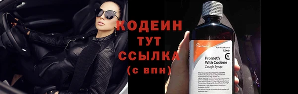 шишки Беломорск
