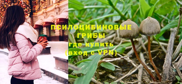 шишки Беломорск