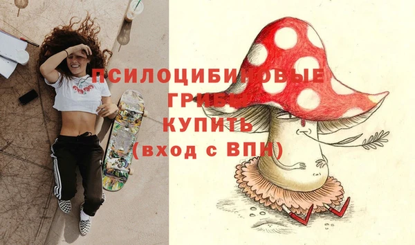 амф Белокуриха