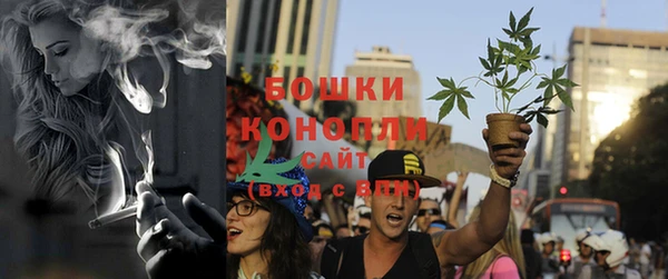 амф Белокуриха