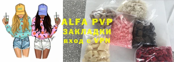 шишки Беломорск